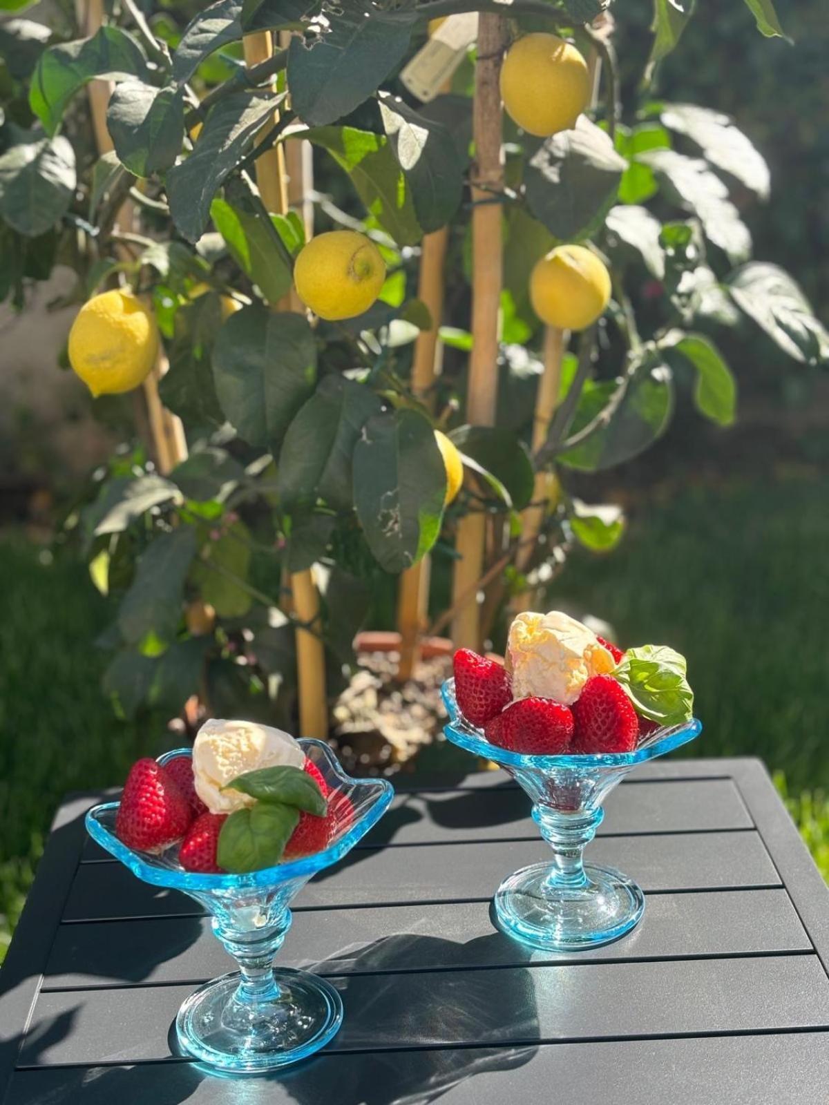 Villa Gio'S Монца Екстериор снимка